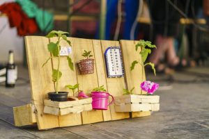 Lass den Hörspielsommer sprießen - von Jupp Hoffmann Fotografie